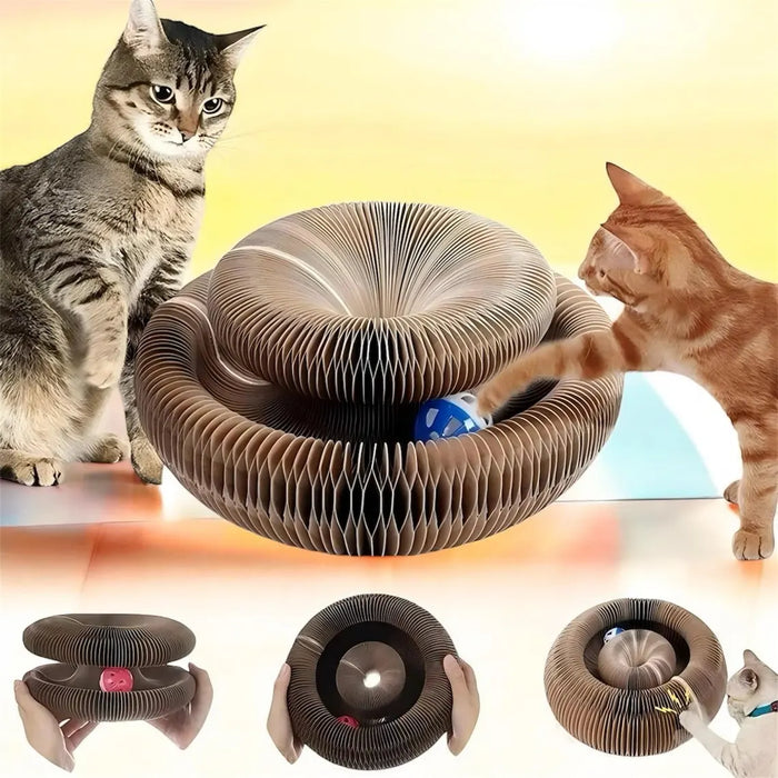 Petyco Magic Organ: İnteraktif Şekil Değiştiren Kedi Tırmalama ve Oyun Alanı