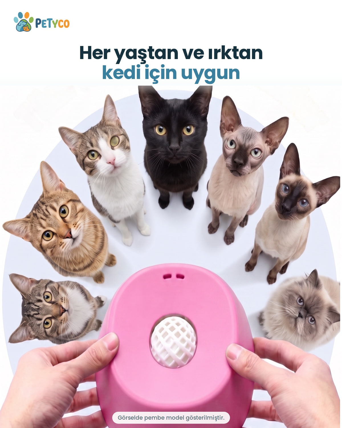 Lezzet Topu her yaştan ve ırktan kedi için