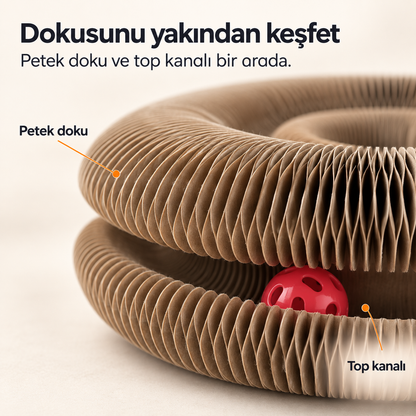 Petyco Pati Park — İnteraktif Şekil Değiştiren Kedi Tırmalama ve Oyun Alanı