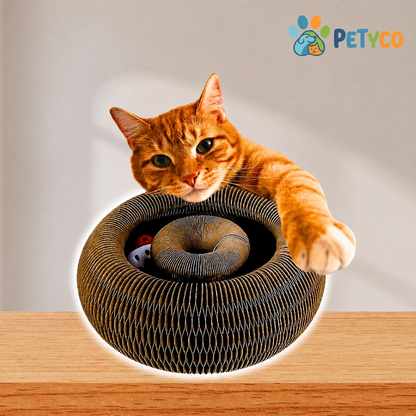 Petyco Pati Park — İnteraktif Şekil Değiştiren Kedi Tırmalama ve Oyun Alanı