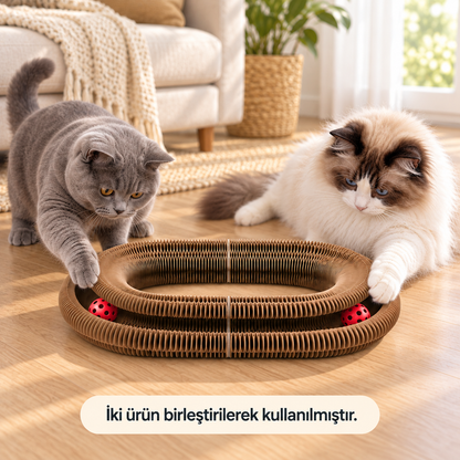 Petyco Pati Park — İnteraktif Şekil Değiştiren Kedi Tırmalama ve Oyun Alanı