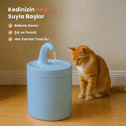 Mavi Petyco seramik kedi su pinari