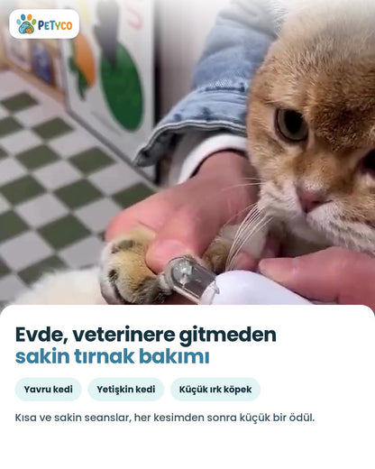 Evde kedi tırnağı kesimi