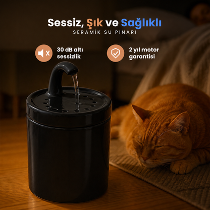 Siyah Petyco seramik kedi su pinari