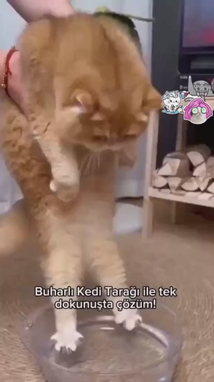 Petyco buharlı tüy toplama fırçası tanıtım videosu